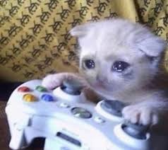 Play Free